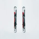 schiuri-elan-freeline-1
