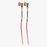 leki-wcr-gs-3d-2301